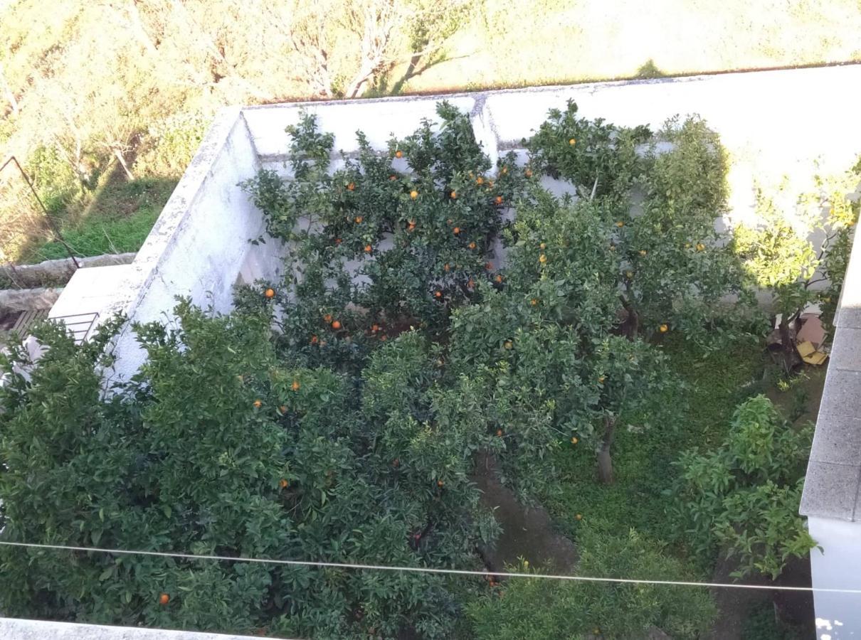 Villa Lilla Ostuni Eksteriør billede