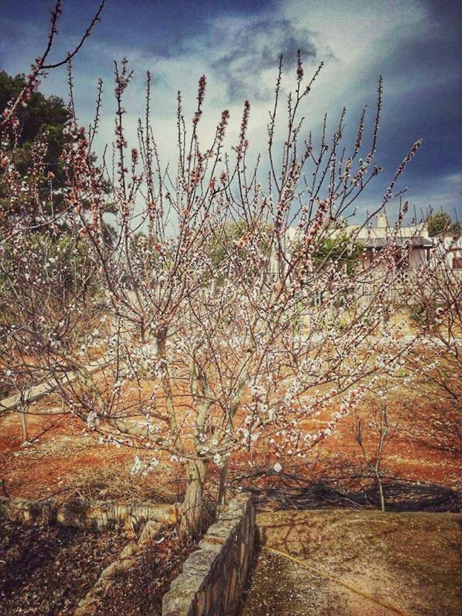 Villa Lilla Ostuni Eksteriør billede